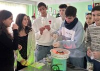 ინიციატივა აფხაზეთში მცხოვრები თანატოლების მხარდასაჭერად